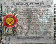 Black Flame of the Amazon cover