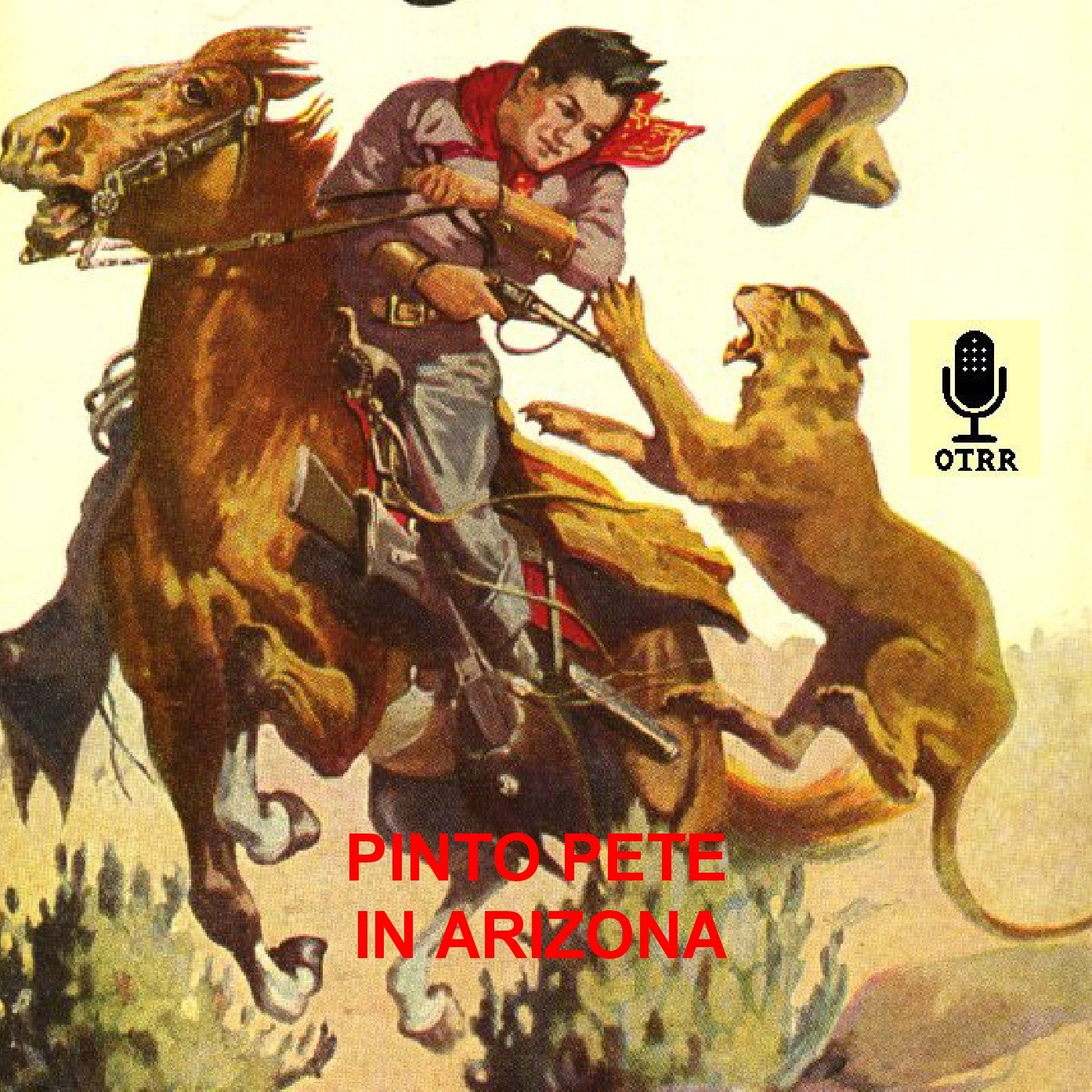 Pinto Pete in Arizona cover